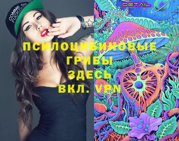 мескалин Арсеньев