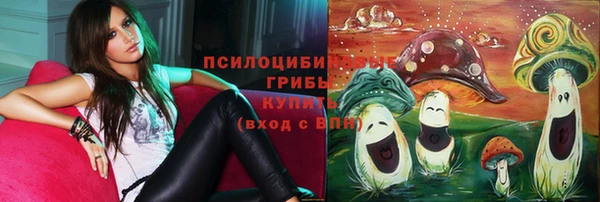 2c-b Армянск
