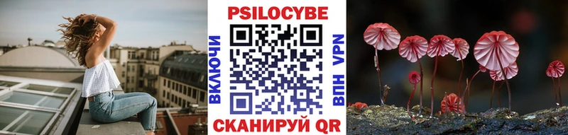 где продают   shop какой сайт  Псилоцибиновые грибы GOLDEN TEACHER  Руза 